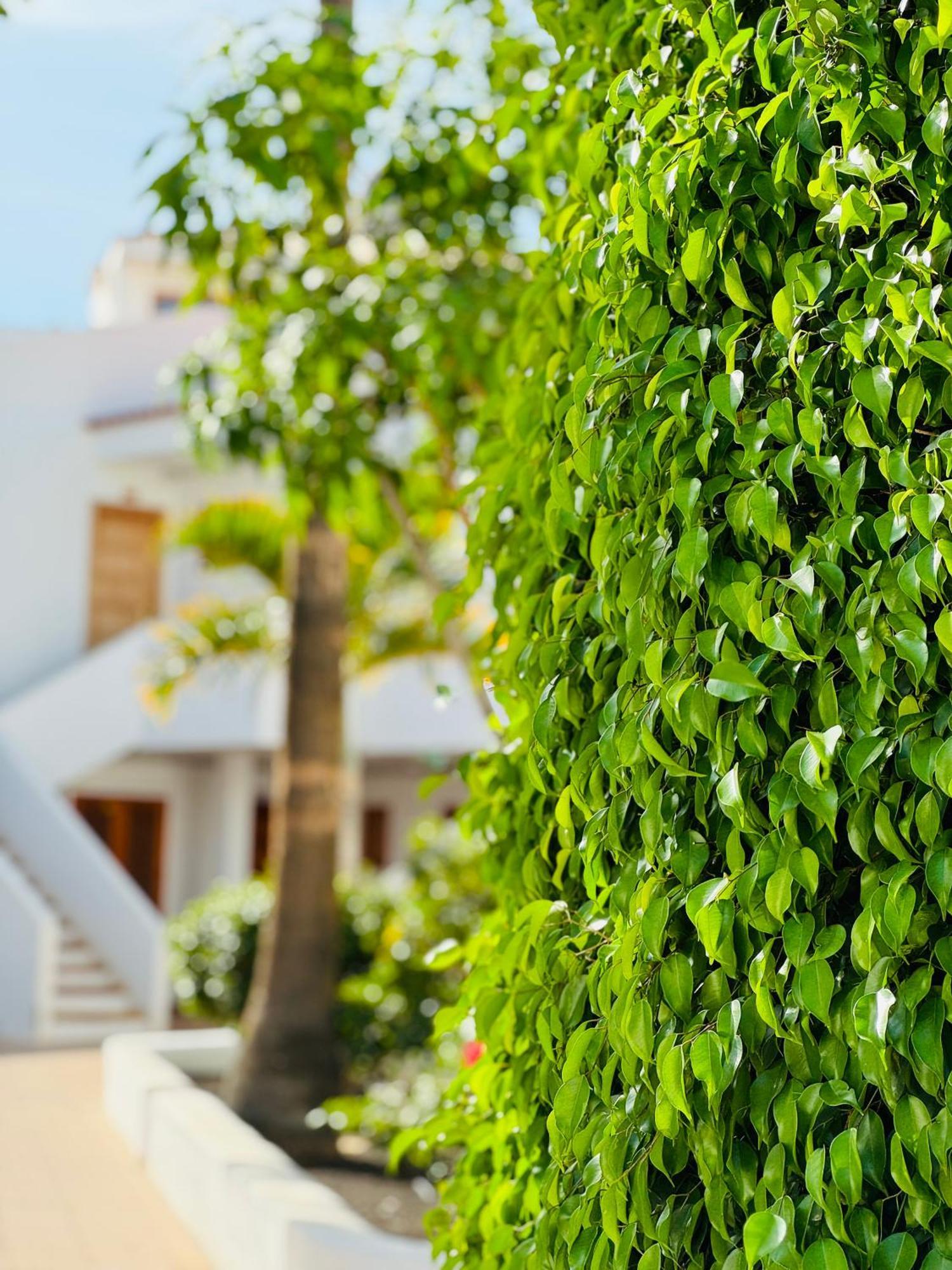 Garden City Private Apartment Costa Adeje Playa Feñabe Exterior foto